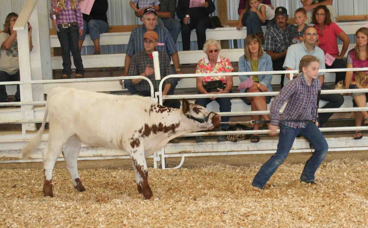 Premium Lists to the Becker County Fair!